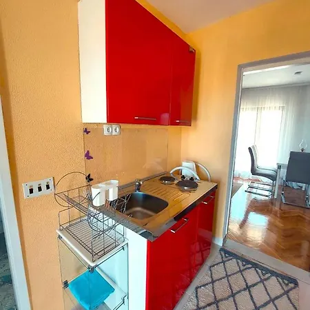 Pet Friendly Holiday Sofia *